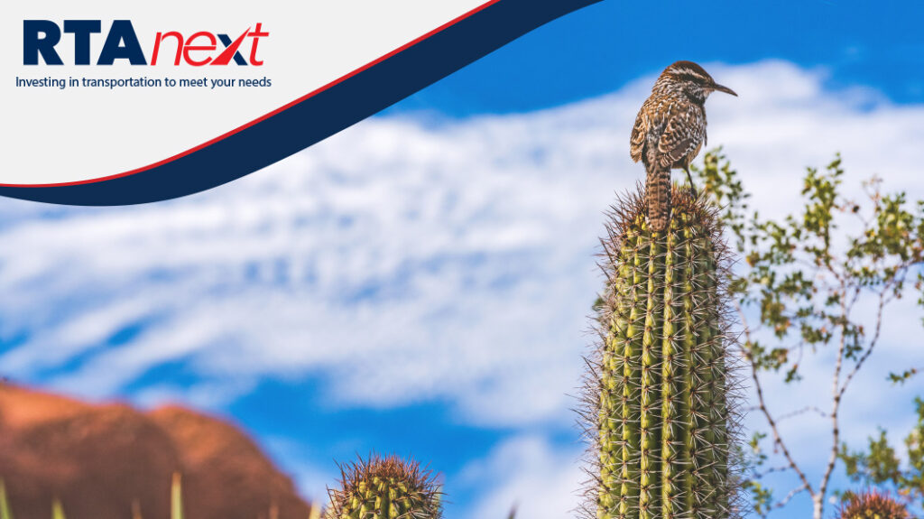 A bird rests on top of a cactus.